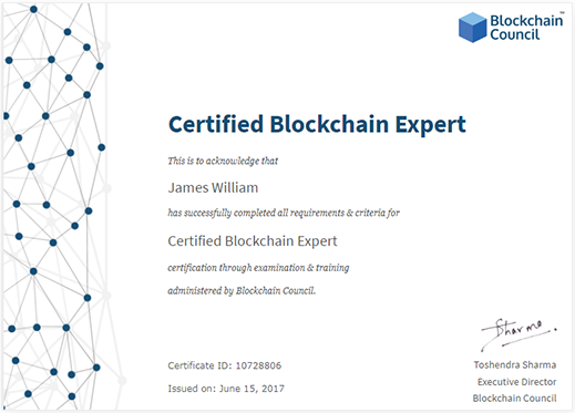Online blockchain developer certificate